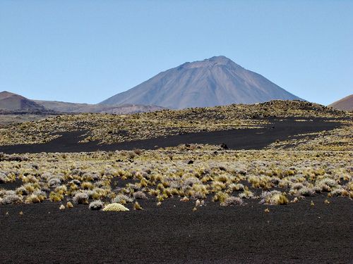 El volcán Payún Liso es el más alto de la región de La Payunia