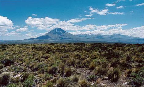 Volcán Payún Matru en la Reserva Natural La Payunia en Malargüe