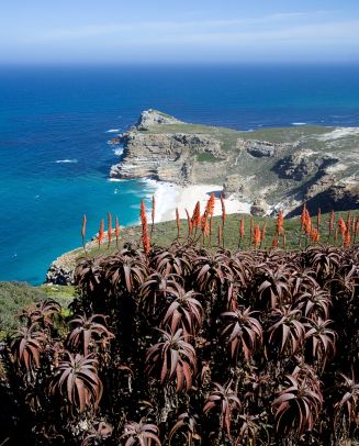 Cape Point se ubica en el extreno sur de la península de Ciudad del Cabo en Sudáfrica