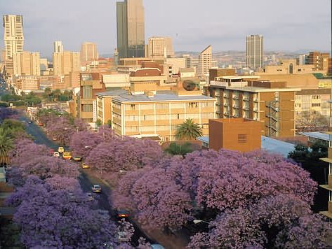 La preciosa ciudad de Pretoria encalana sus calles con el color lilaseo de sus jacarandas