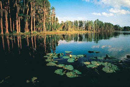 El Parque Nacional Everglades es el segundo más extenso de América